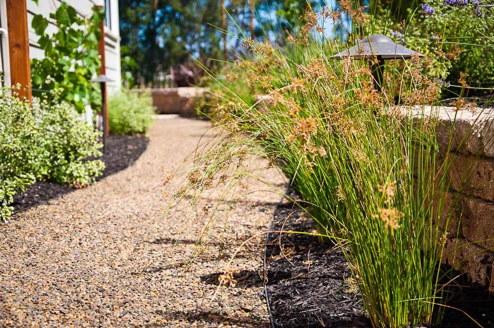 san-luis-obispo-landscaping-sage-ecological-landscapes-anderson-residence-web-size-1-of-44_20120914-untitled-shoot-untitled-8958.jpg