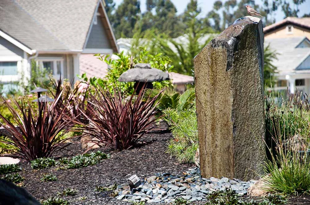 san-luis-obispo-landscaping-sage-ecological-landscapes-anderson-residence-web-size-11-of-44_20120914-untitled-shoot-untitled-9073.jpg