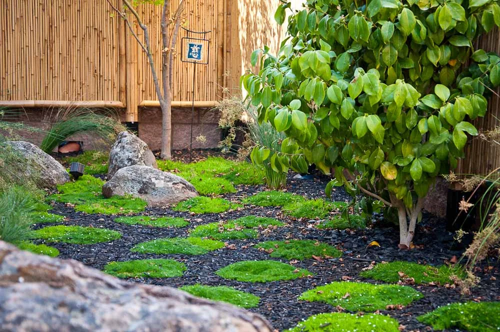 san-luis-obispo-landscaping-sage-ecological-landscapes-anderson-residence-web-size-18-of-44_20120914-untitled-shoot-untitled-8998.jpg