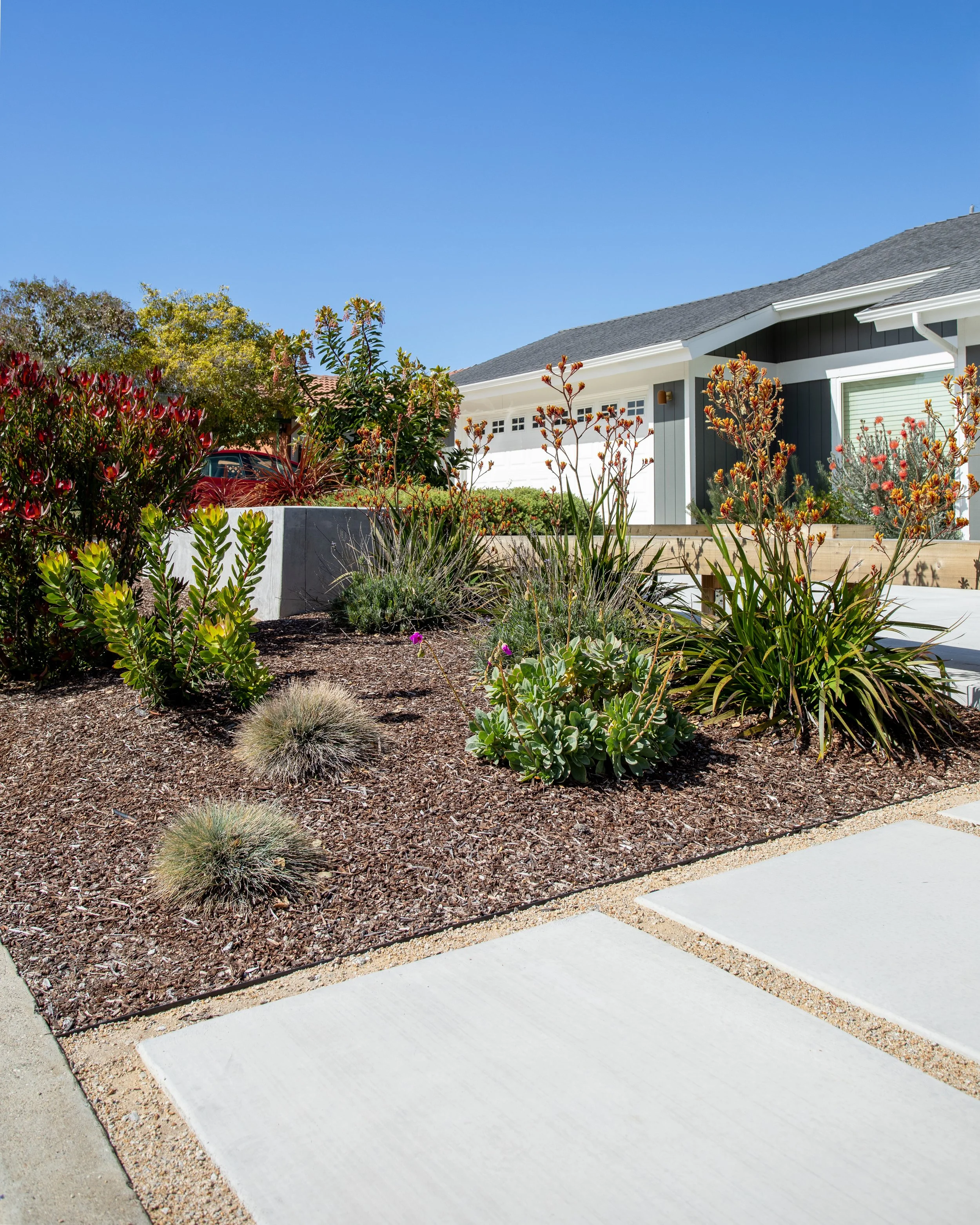0A4A8168-HDR.jpg
