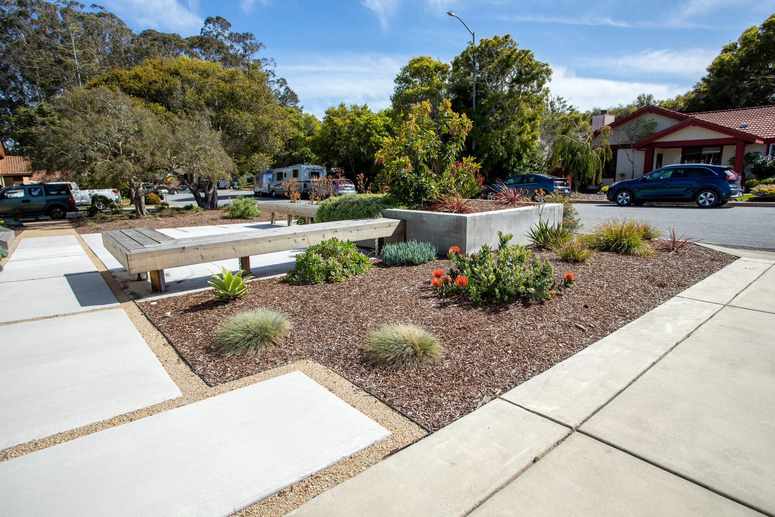 0A4A8183-HDR.jpg