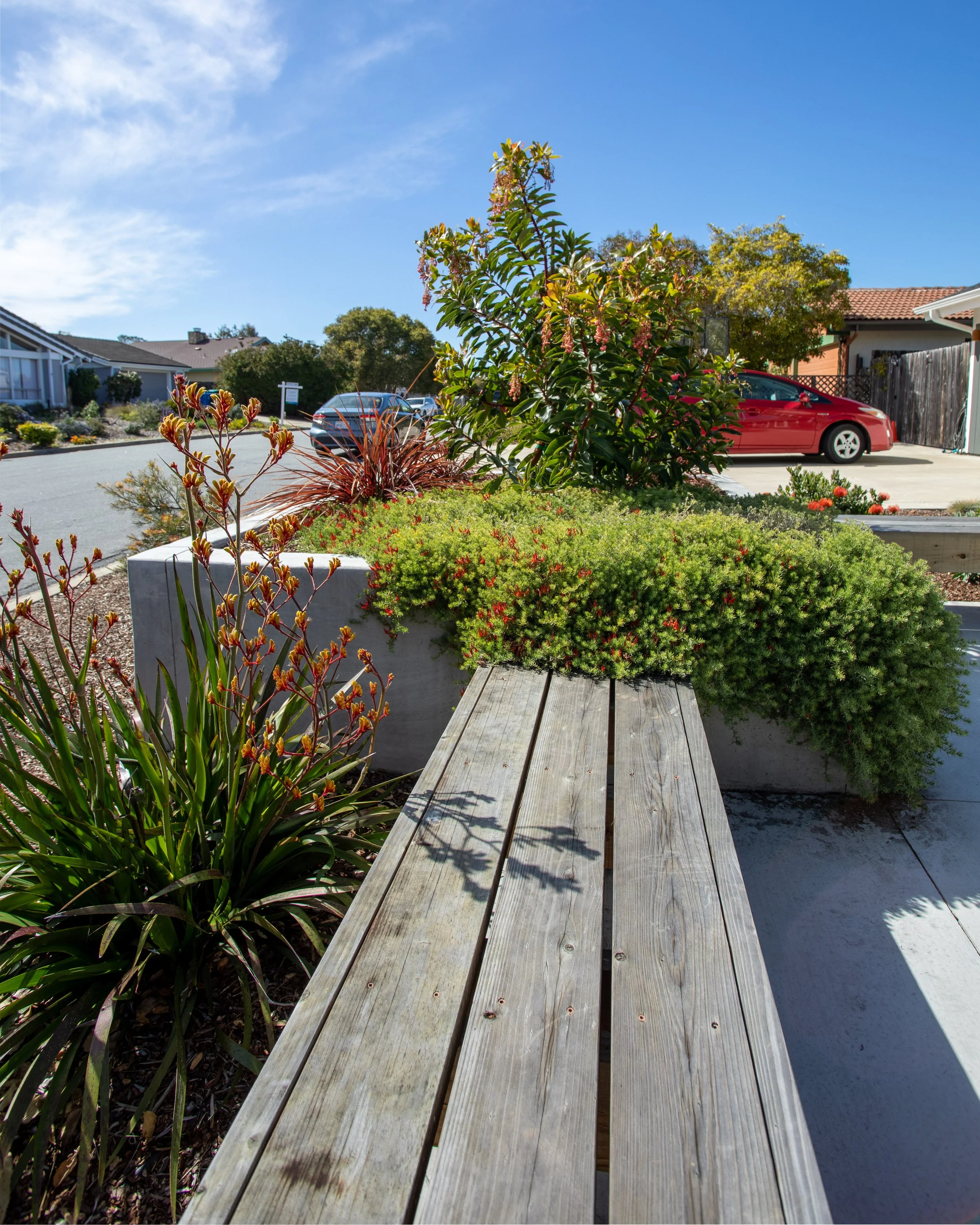 0A4A8192-HDR.jpg