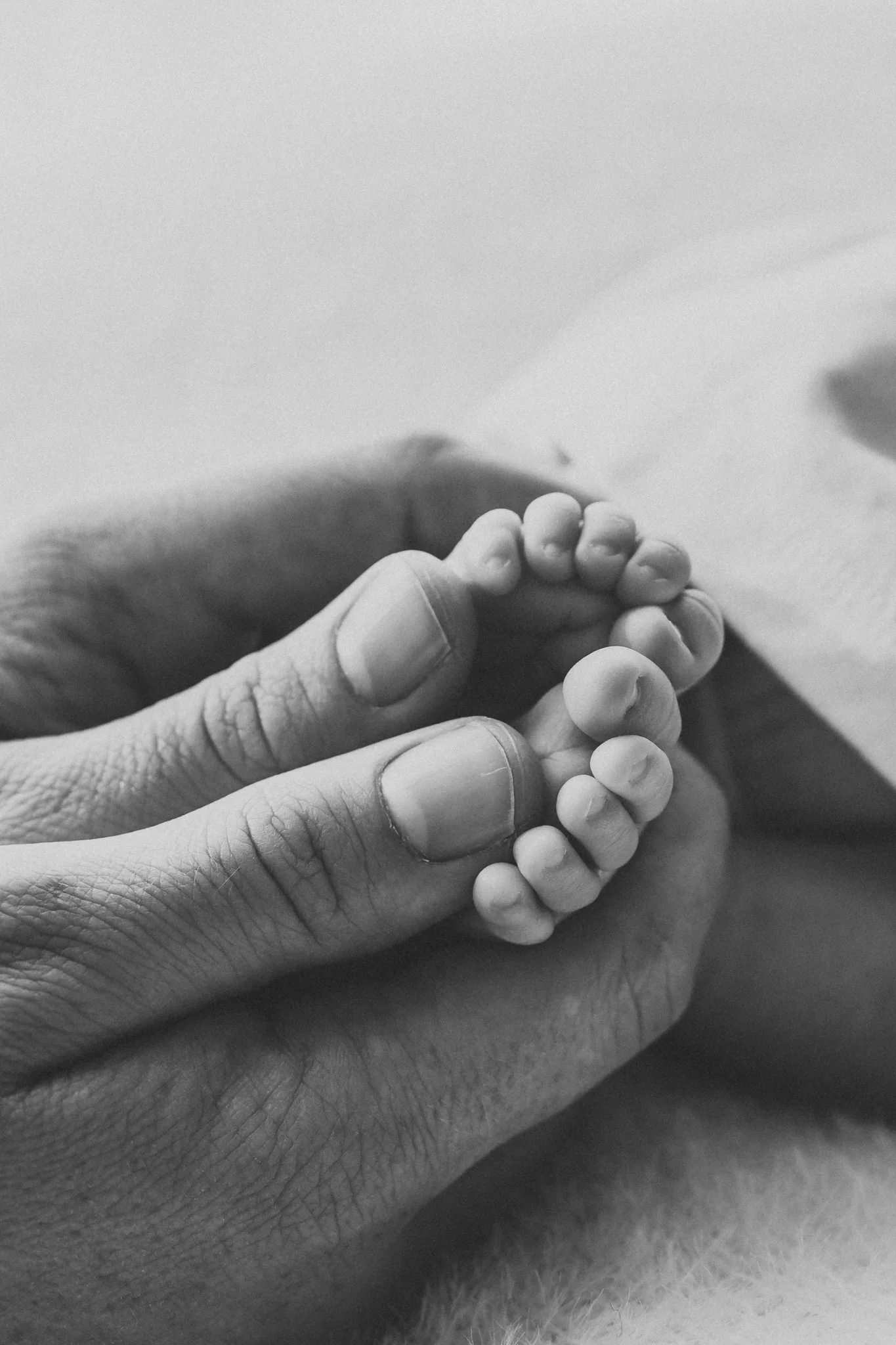 Close-up of an adult hand holding a small baby's hand, both hands are in black and white.