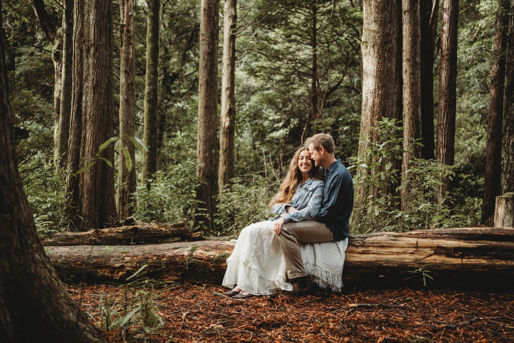 Couple sitting together on a log in Kiriwhakapapa Redwood Forest