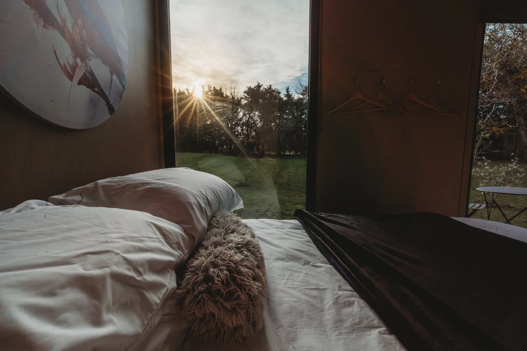 Sunrays peeking into Tiny Away cabin