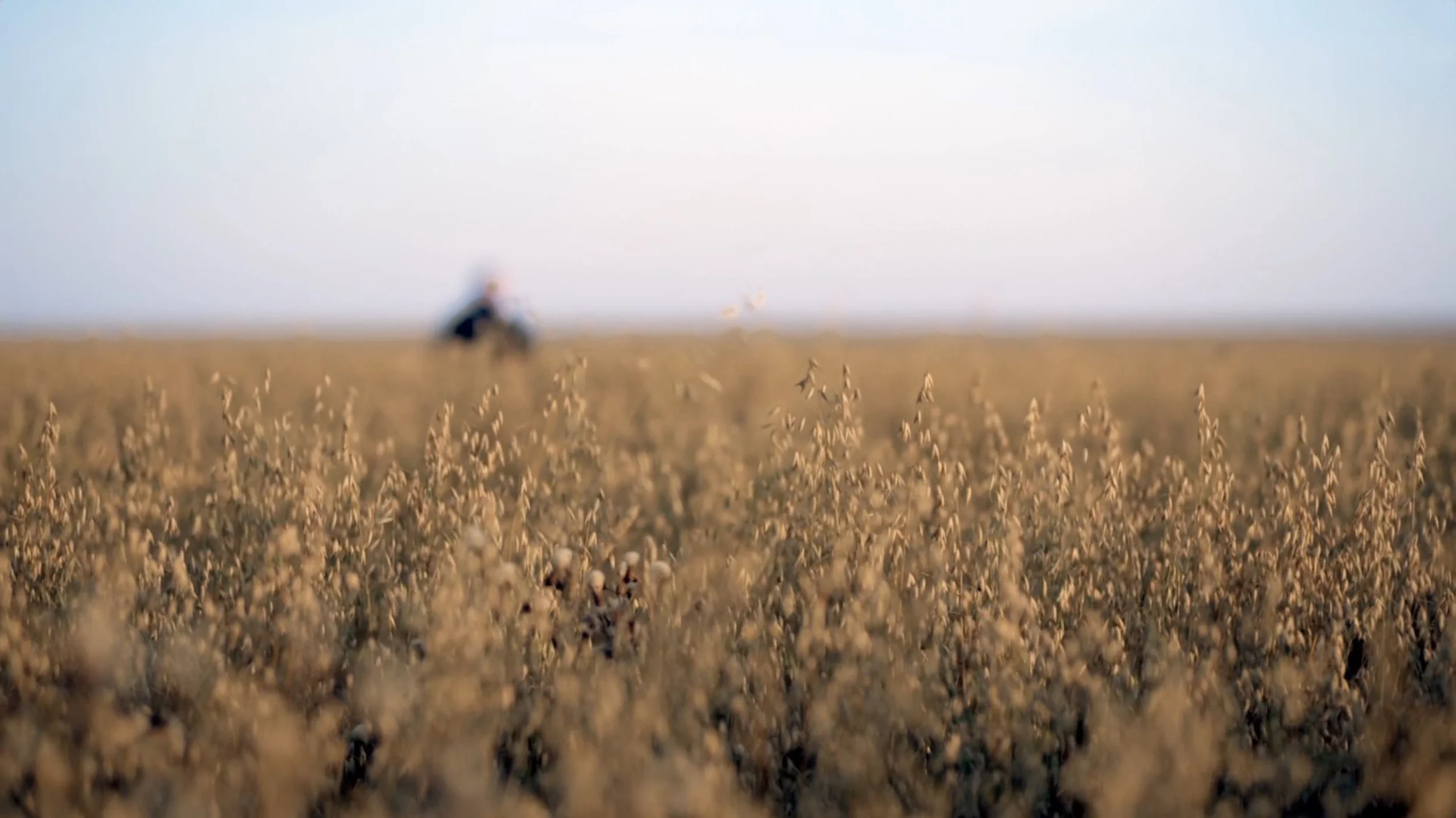 Clif Bar - Farmers Speak