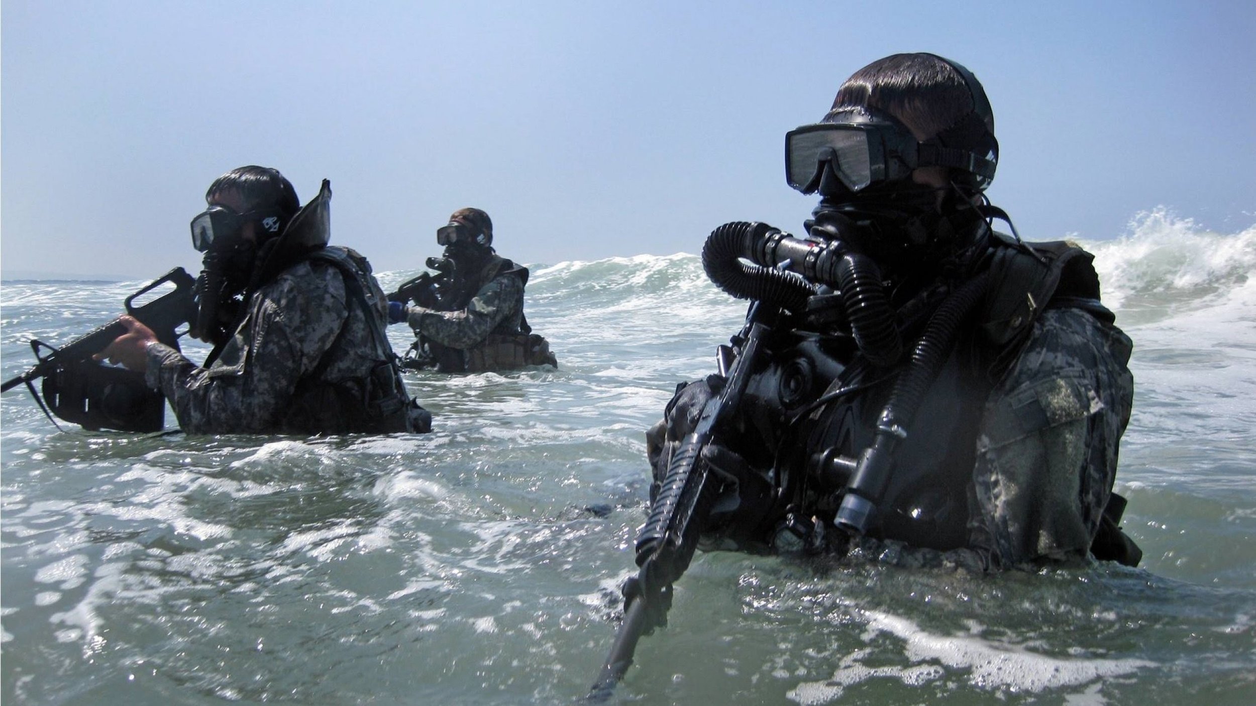 Seals Swimming.jpg