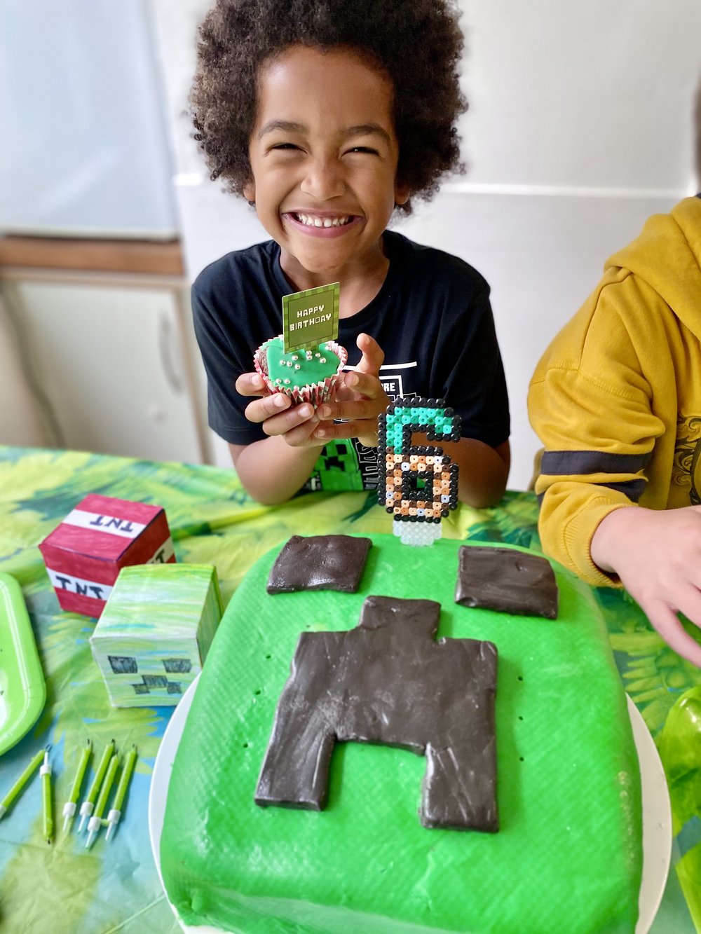 Minecraft / Birthday Minecraft birthday party