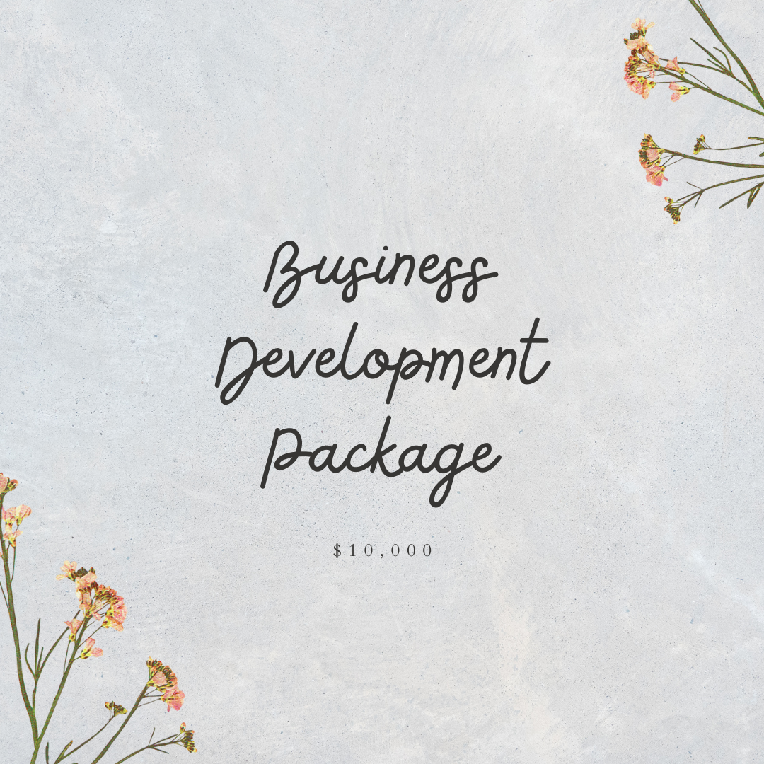 Business Development Package Graphic.png