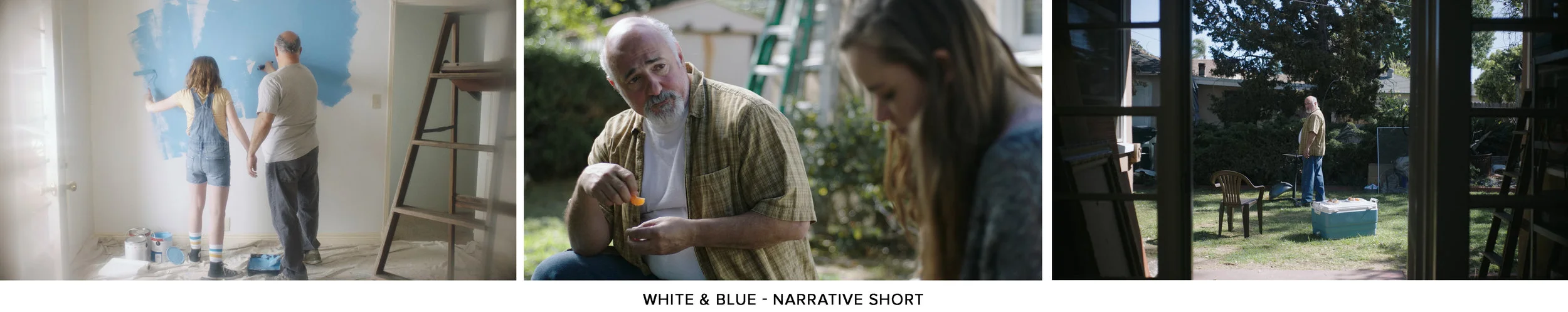 White and Blue Preview v4.jpg