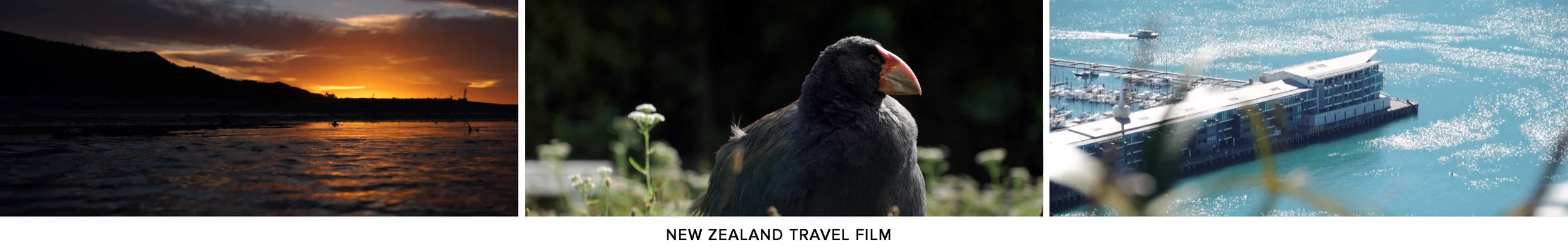 New Zealand Preview v2.jpg