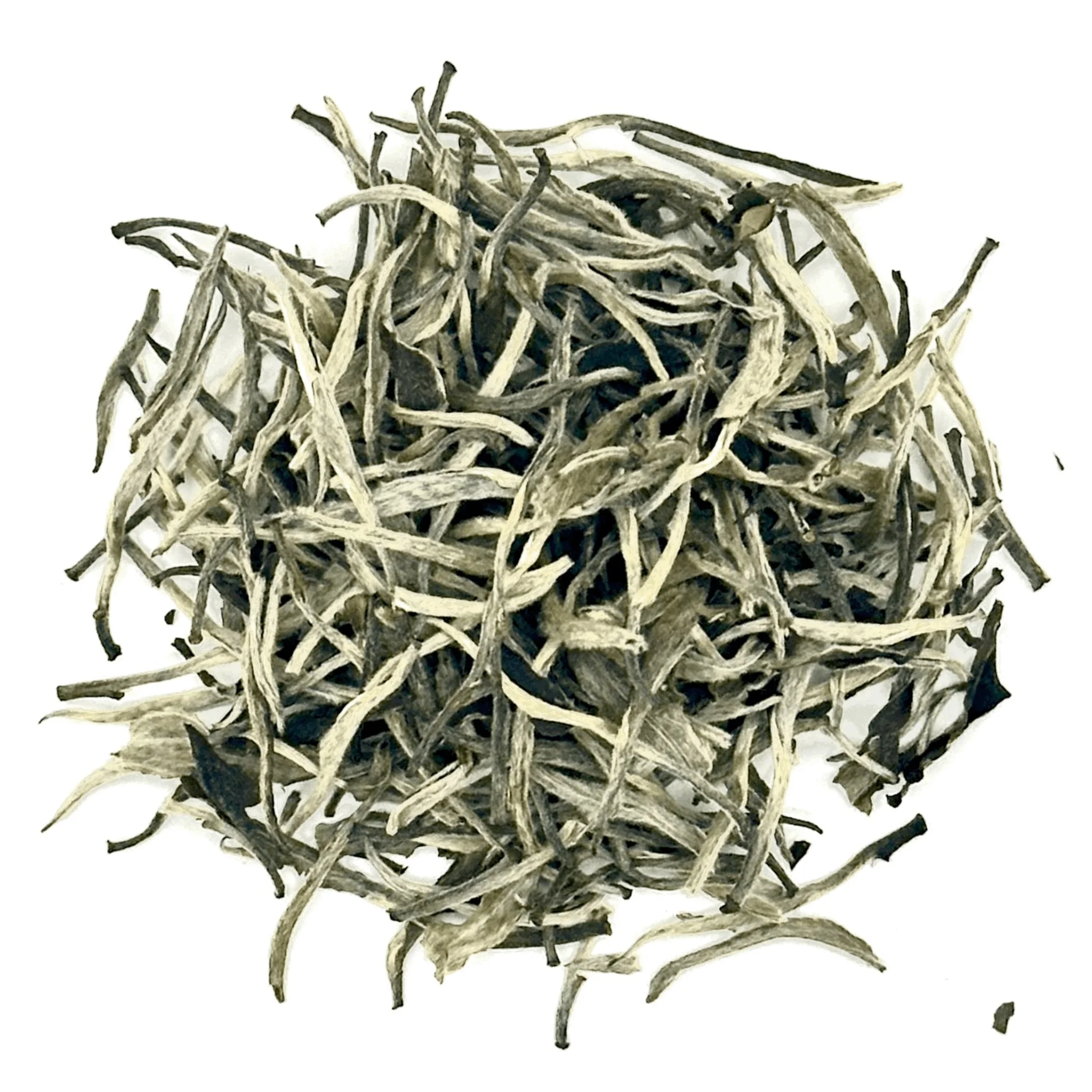 tempImageZymGw6.jpg