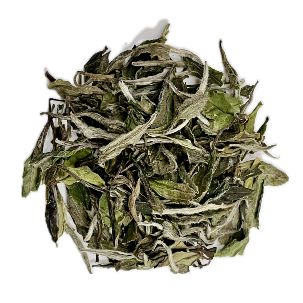 BAI MU DAN  白牡丹