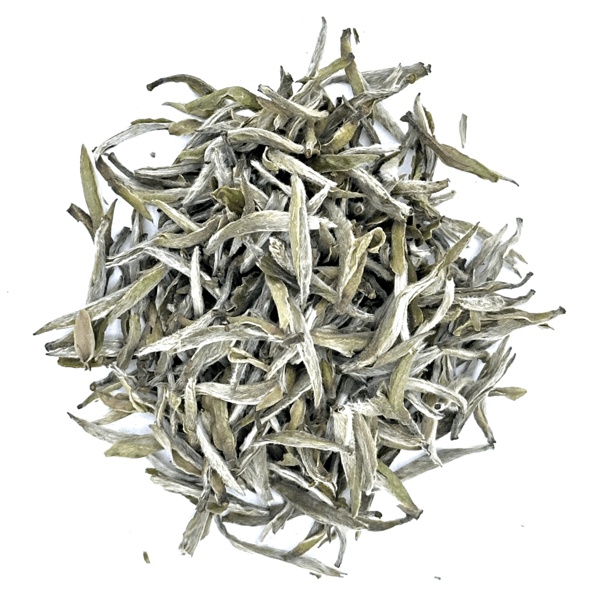 tempImageWj2V55.jpg