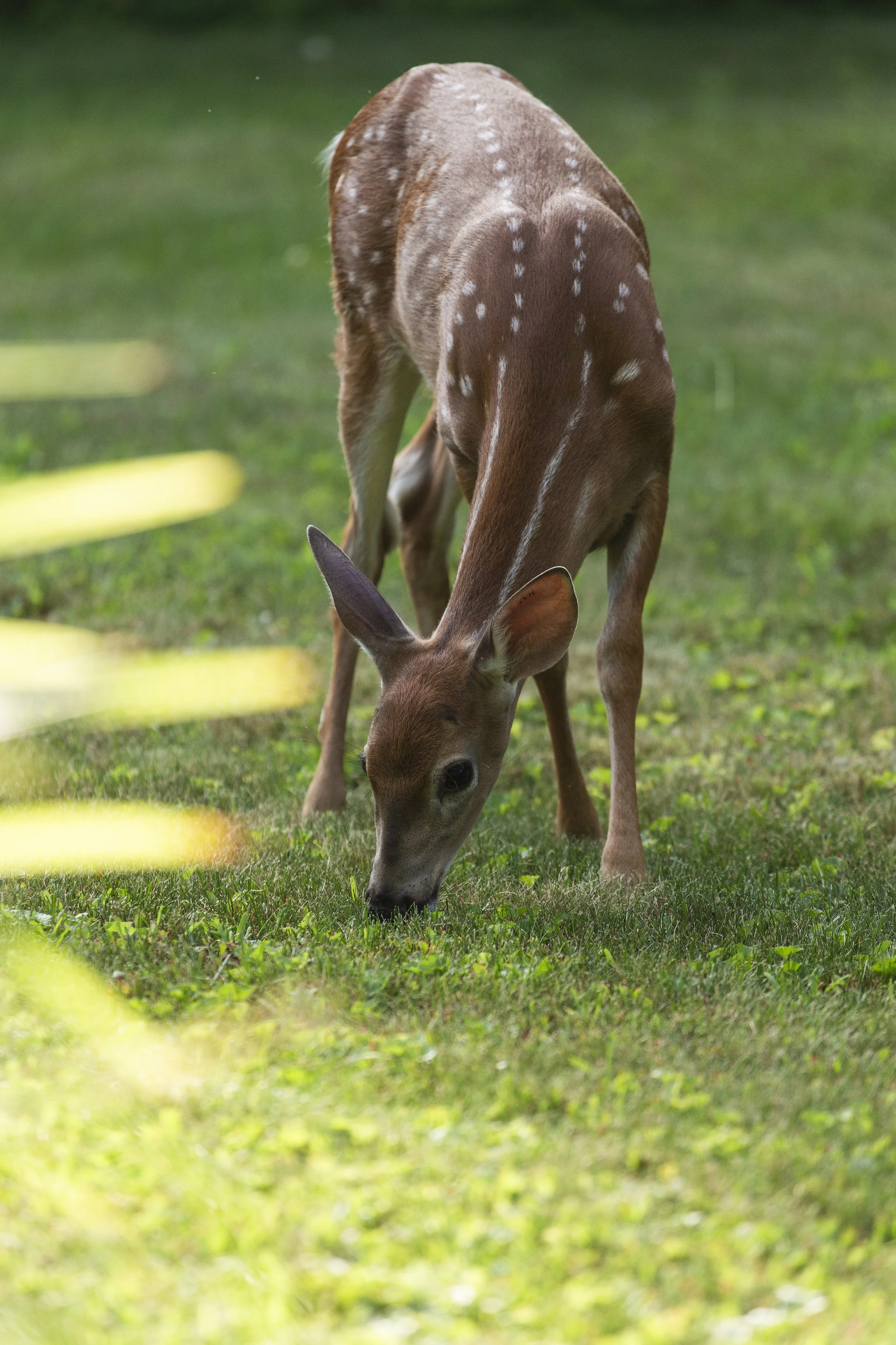260817_LG-7441.jpg