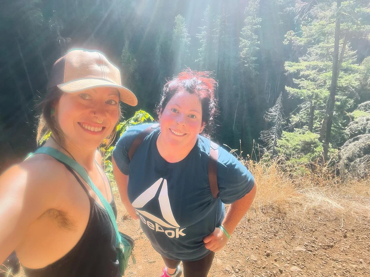 Seastars ❤️❤️