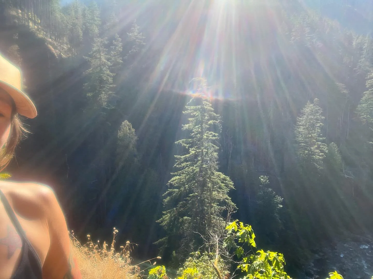 This is it  @mae2987