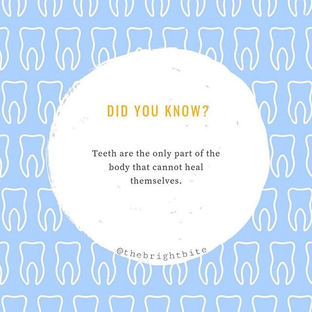 Once a cavity starts, the only way to &ldquo;heal&rdquo; the tooth is Dr. Reihner removing the decay and placing a filling. Larger cavities can require a crown, root canal, or even an extraction. Make an appointment with us today to ensure your smile