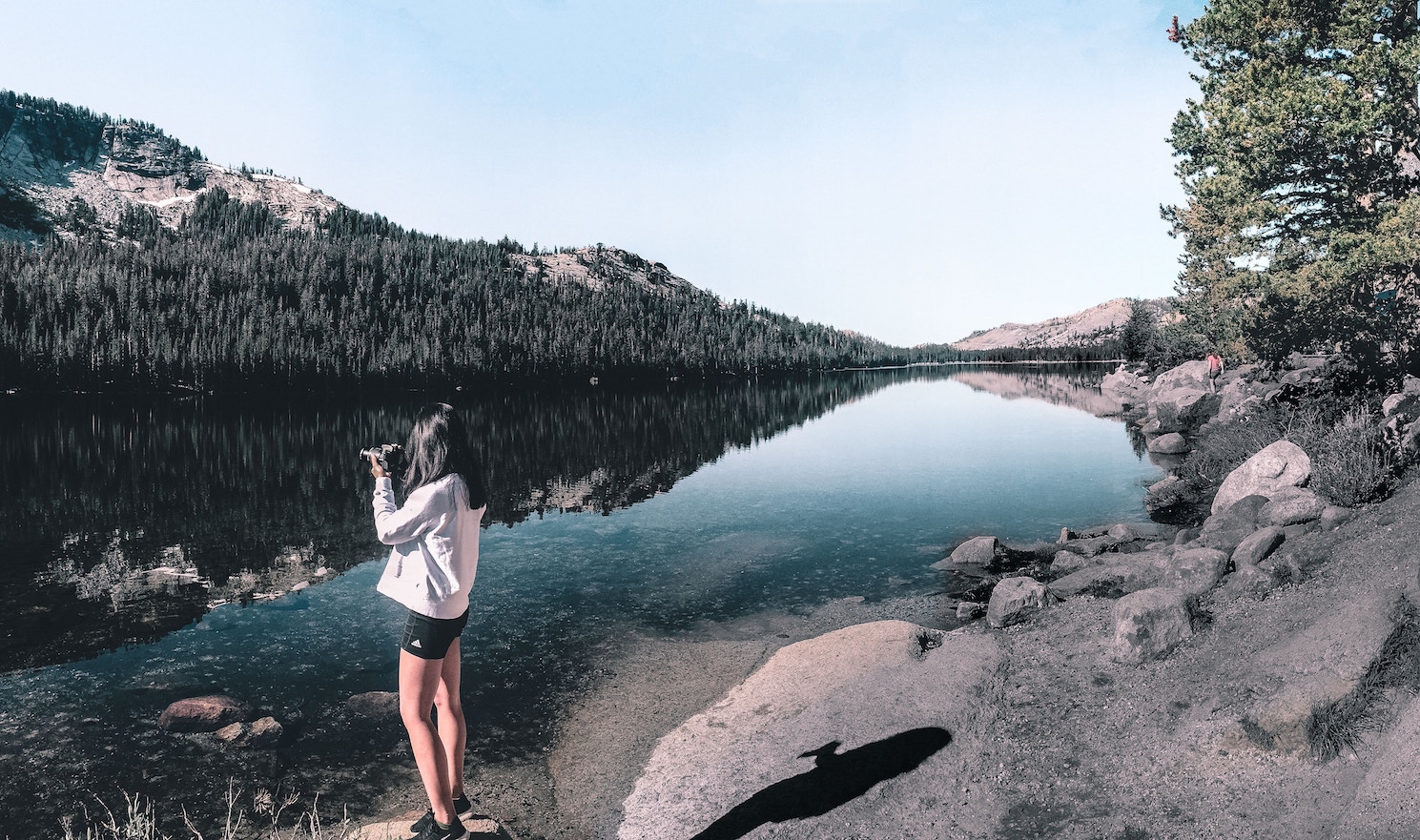 Camera+woman.jpg