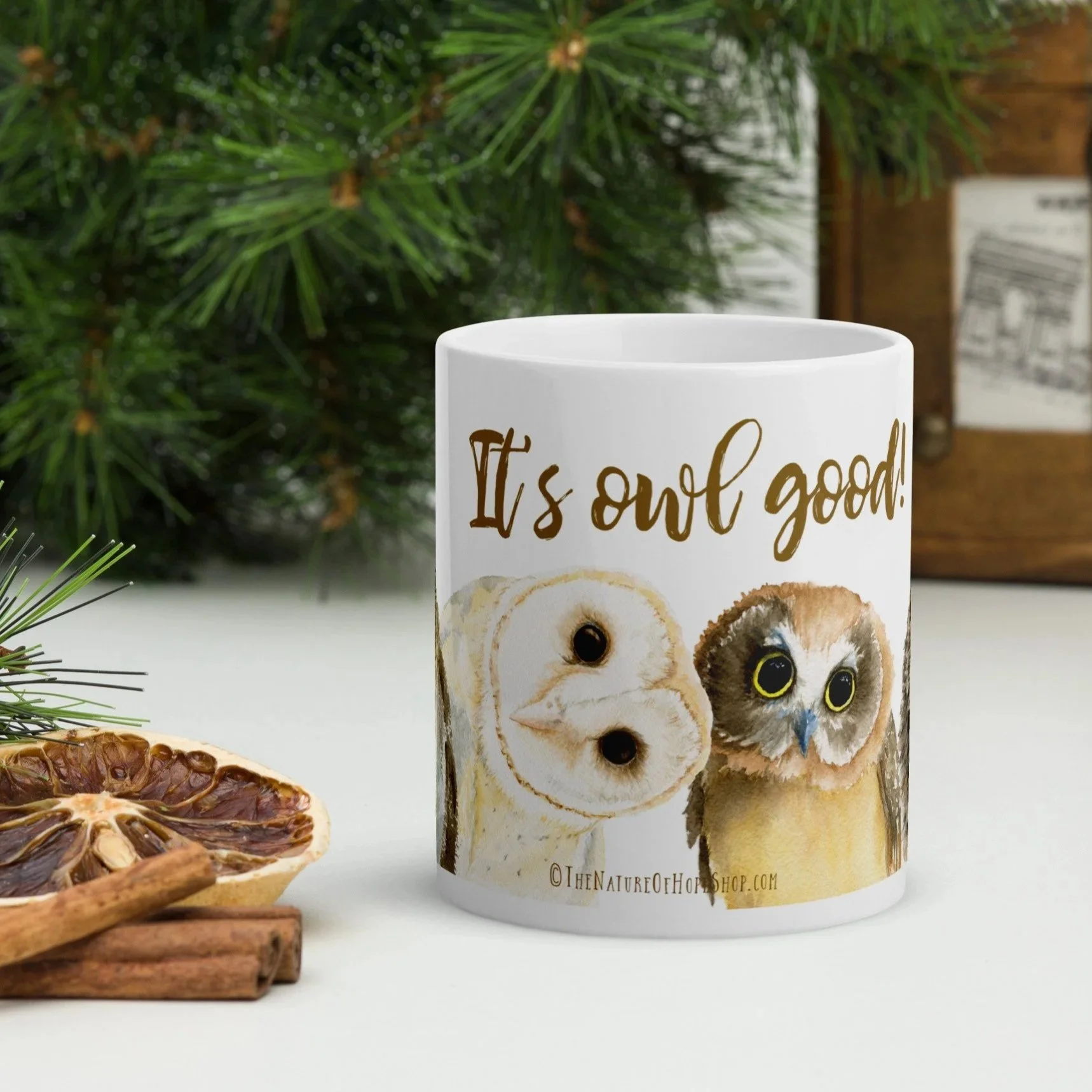 white-glossy-mug-white-11-oz-front-view-68d0714a76b9c.jpg