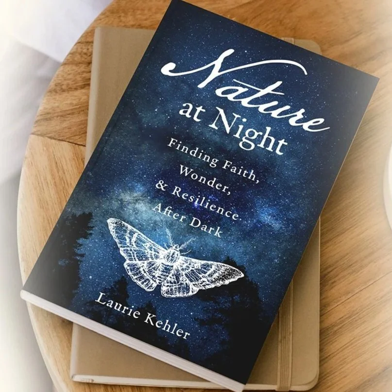 kehler,laurie_nature-at-night_FACEBOOK-BANNER.jpg