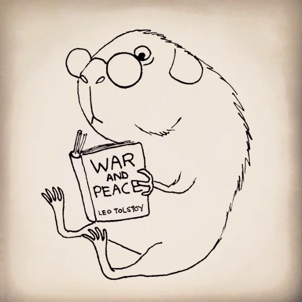 Marshmallow the intellectual guinea pig