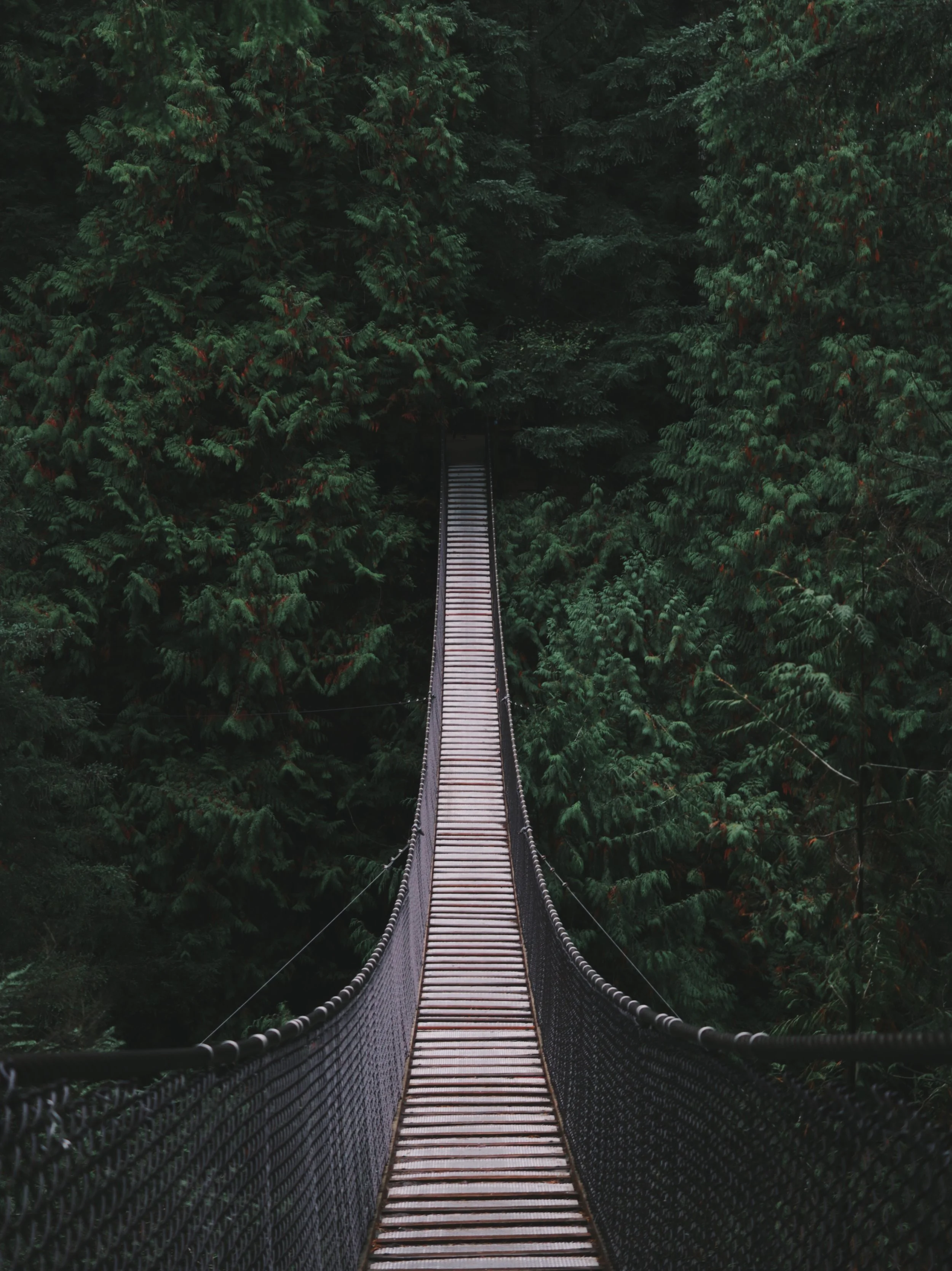 Finding Your Fearless