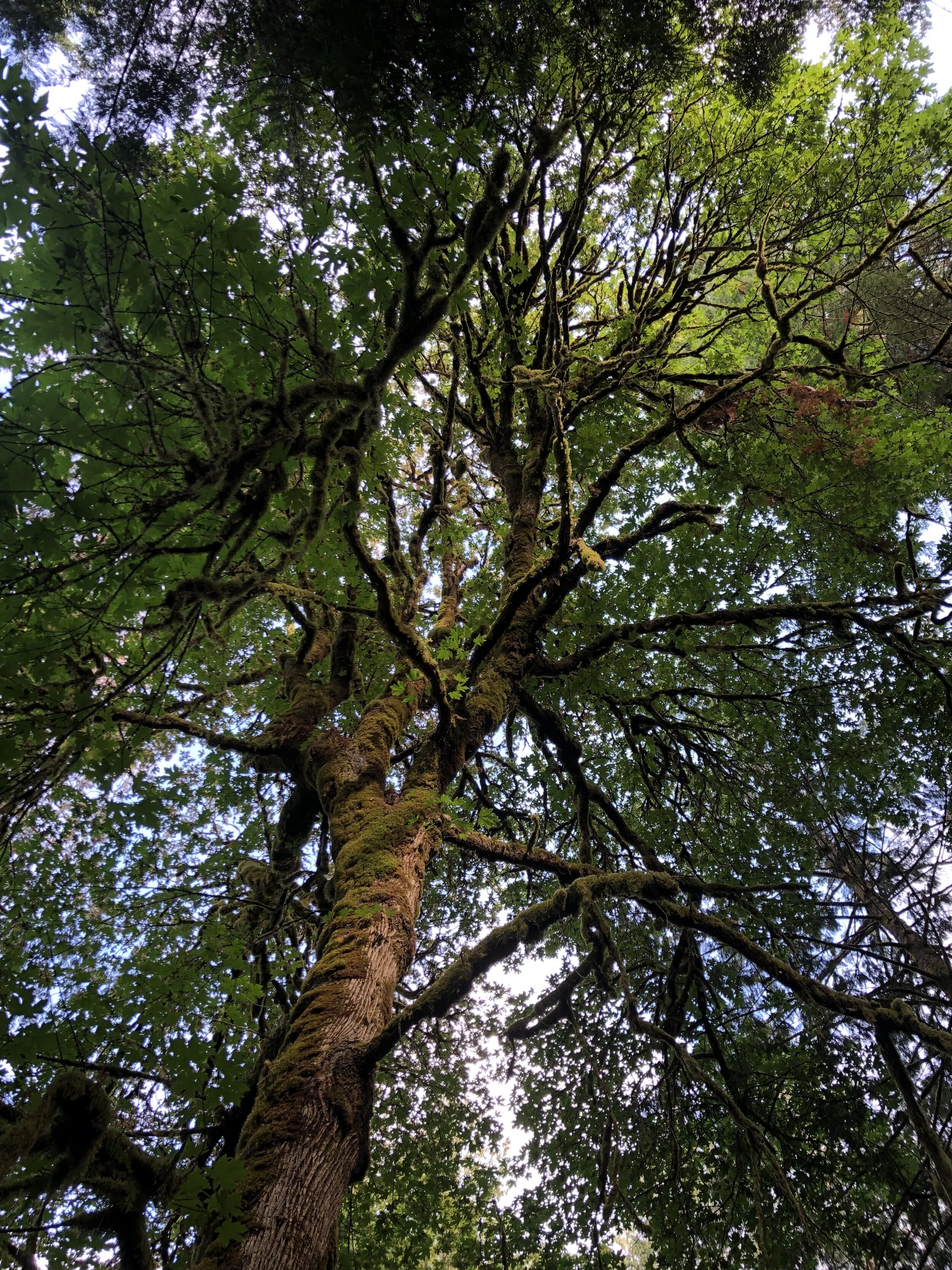 Private Group Base Experience (additional per participant)