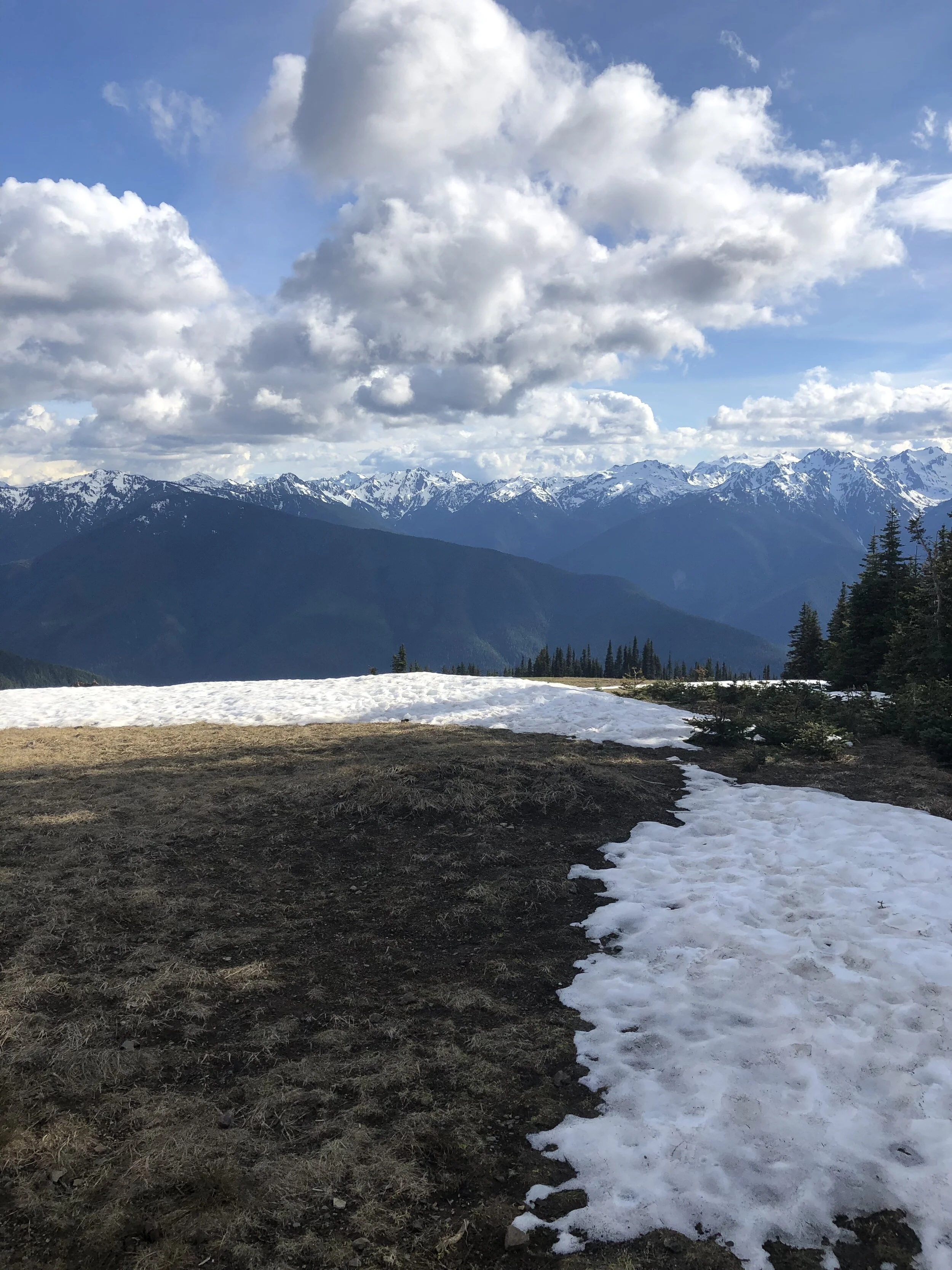 BCE484AA-CB28-49D8-B917-6B99714CEAC5