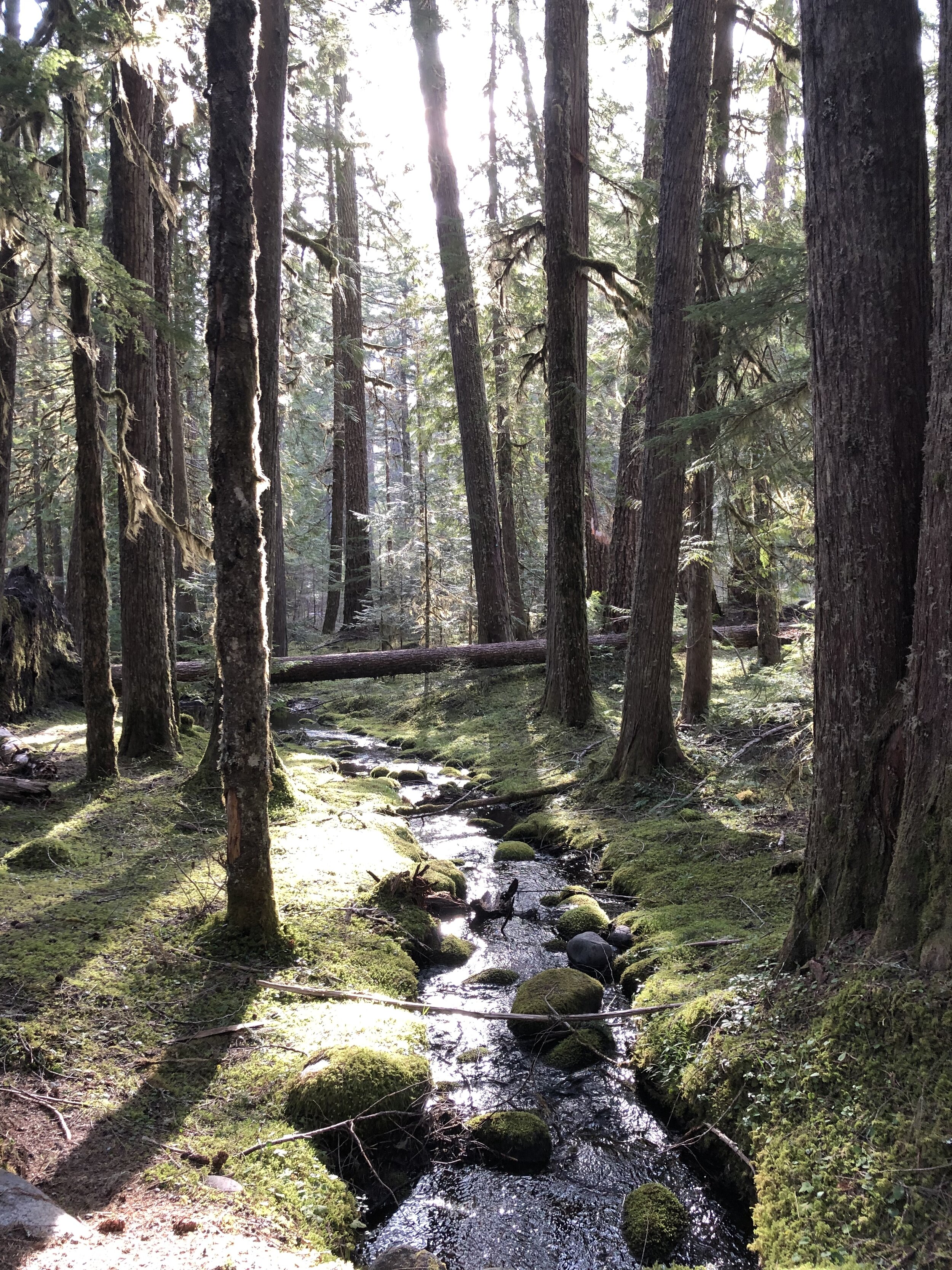 38E38939-36DE-47D1-878A-9C51581B43DB