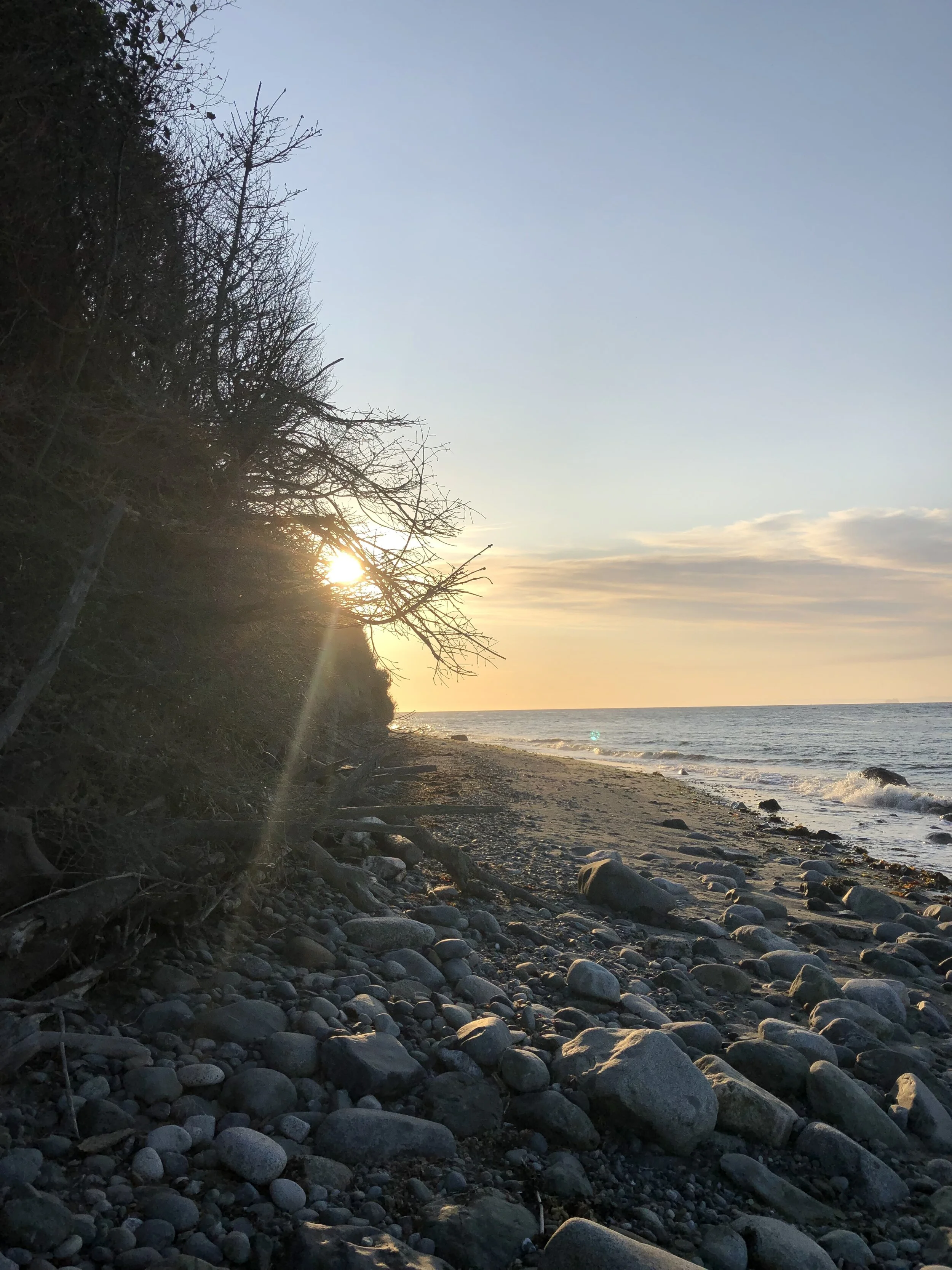 E72EBE8D-B07E-4CF6-BF66-DF58967FBCC8