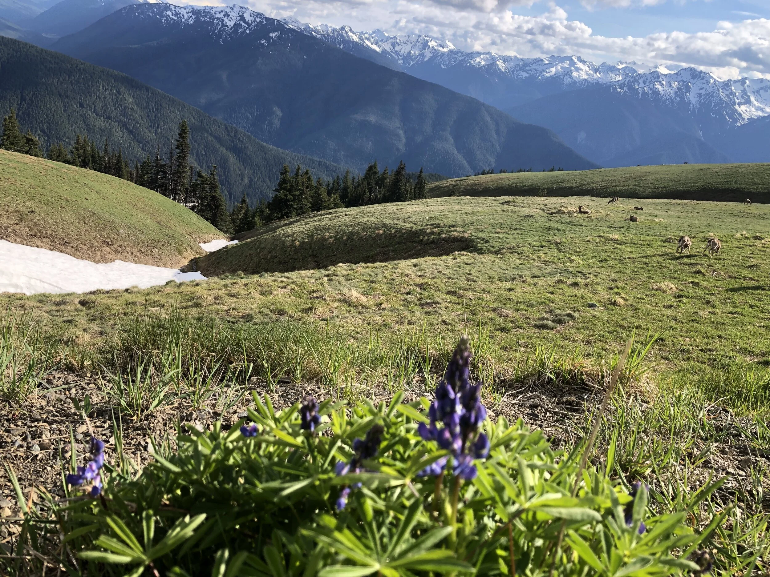 06EC115A-BCCB-47D9-995A-59E28A7E4E9E