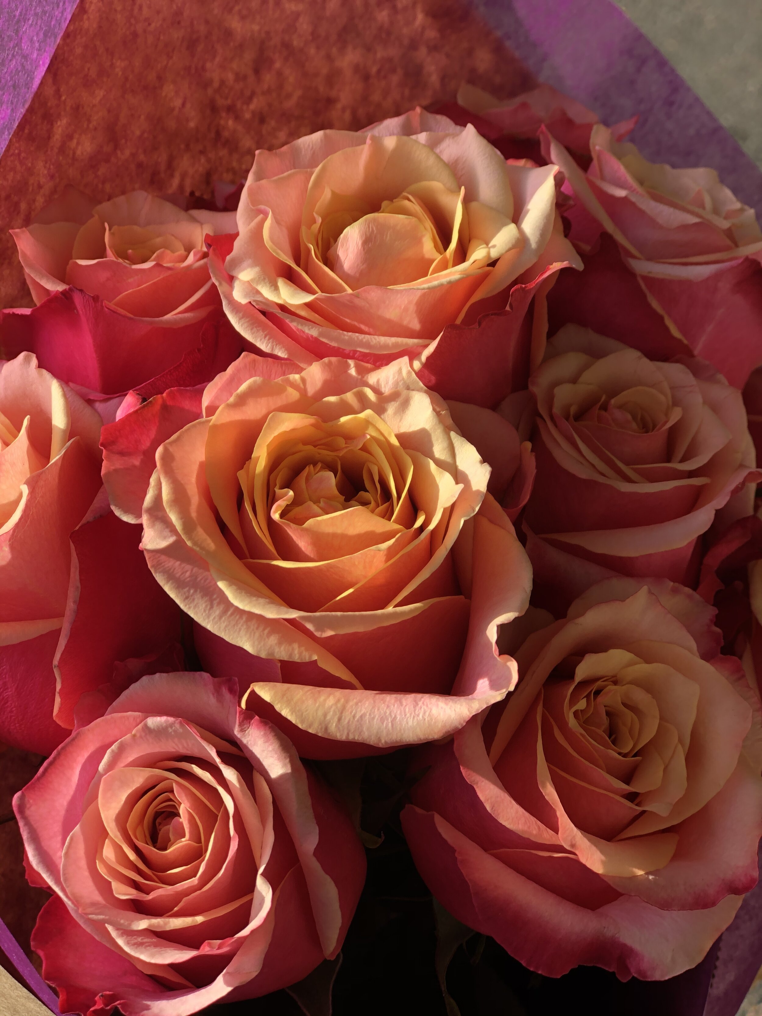 45F1646B-F581-41B6-95F7-A952605E4B2D