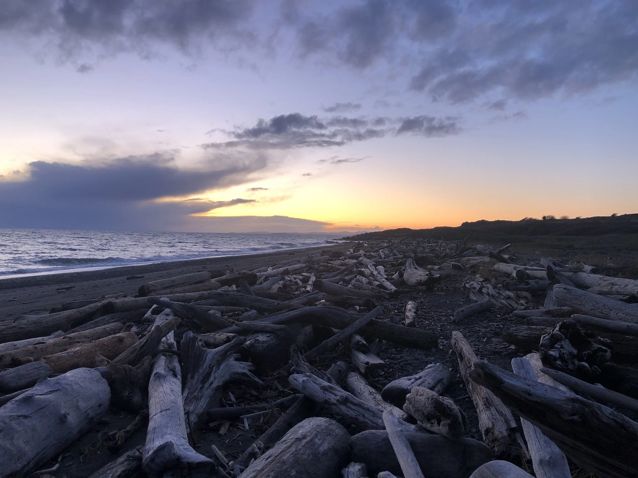 7628714C-6438-4998-9609-5CB4F8EEAB13