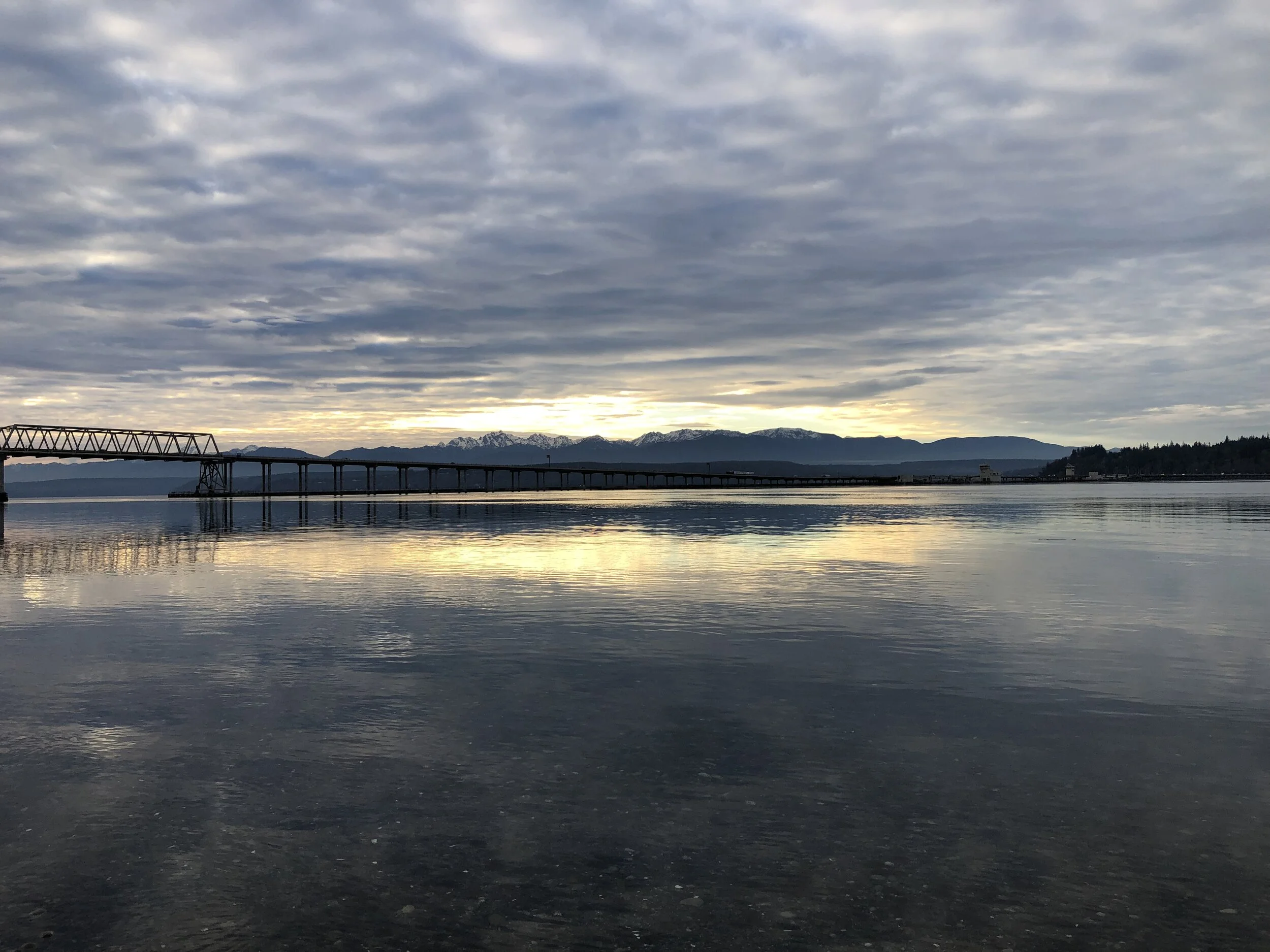 DBB85A29-04F6-4876-B2DA-C8C0E8655306