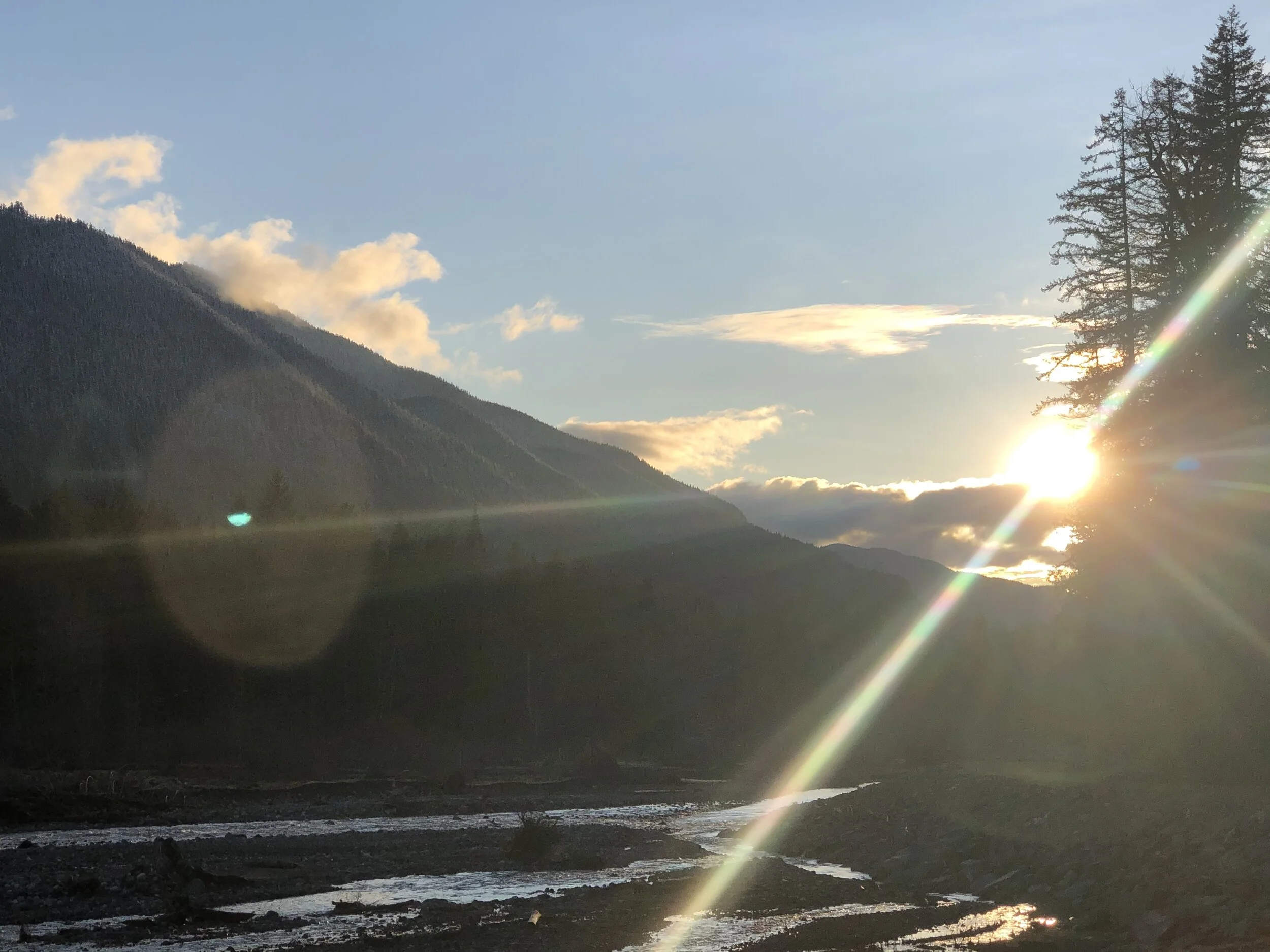 Introductory 20-Minute Call