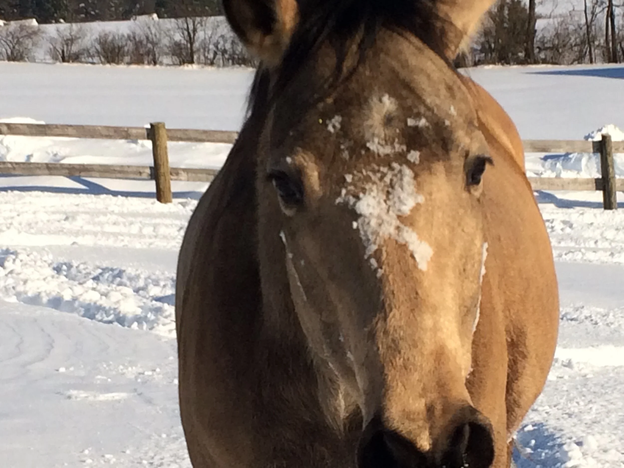 Small Means Big Downloadable PDF