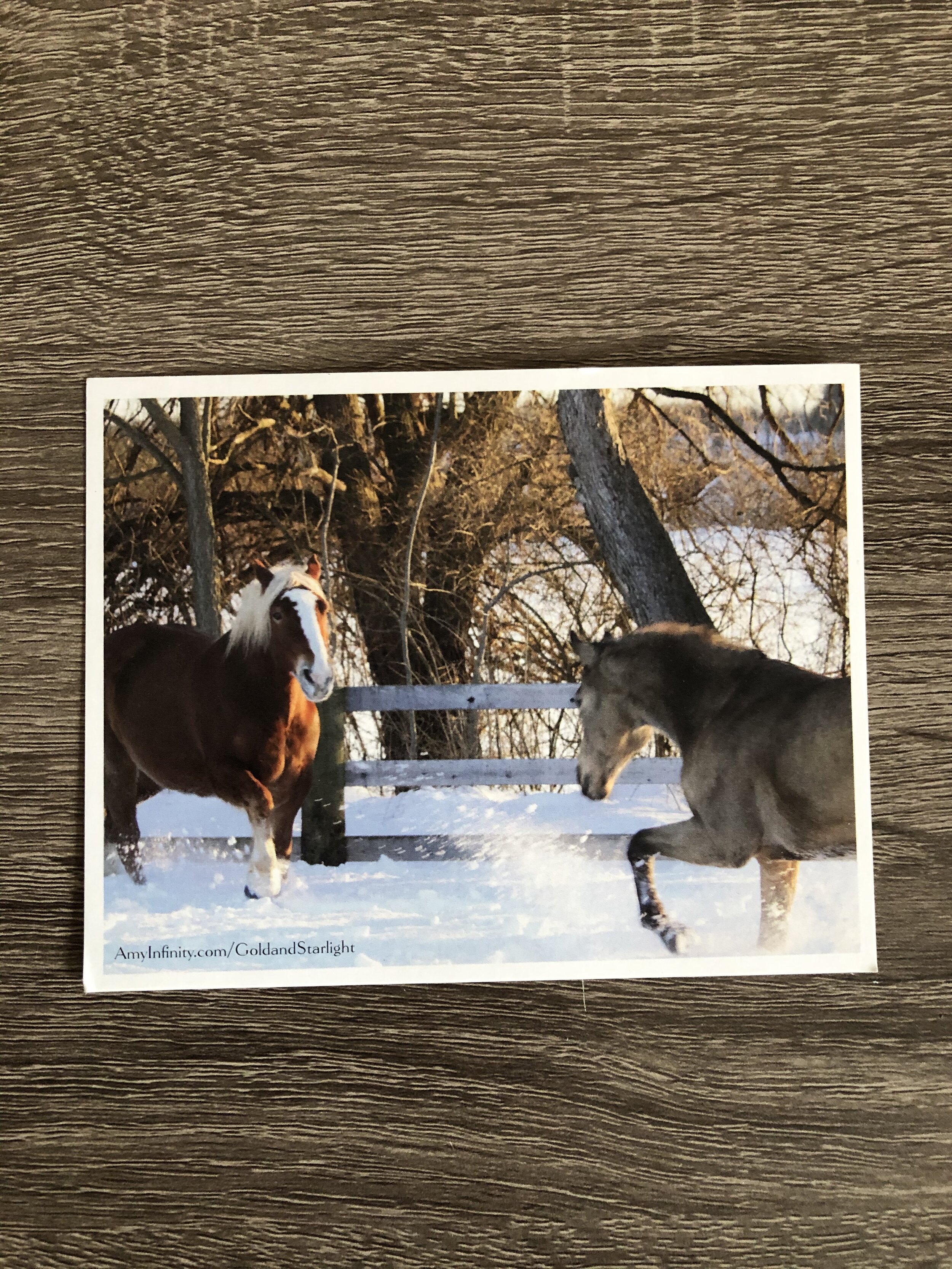 Gold and Starlight Postcard Print