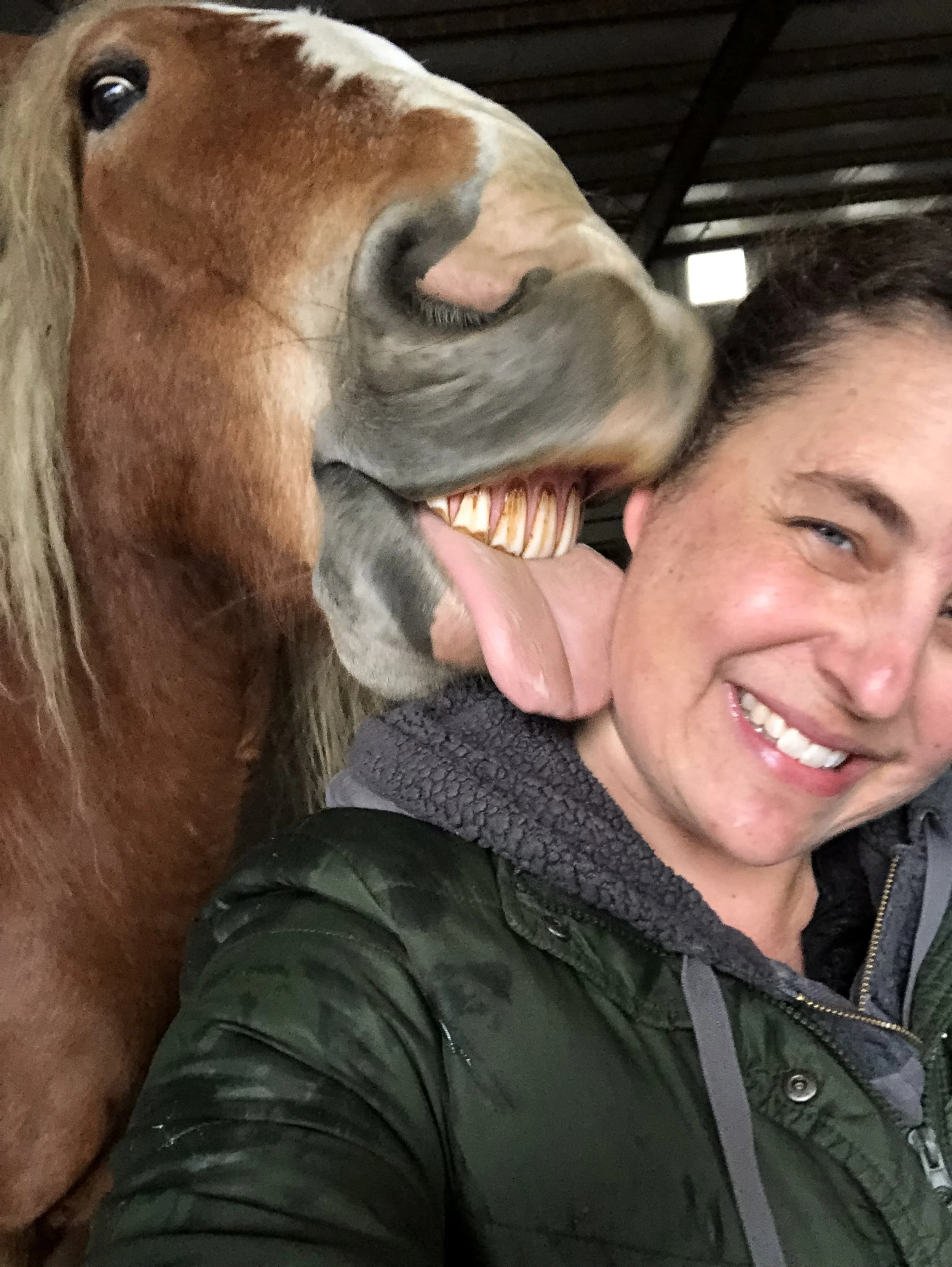 Beautiful Animal Lessons