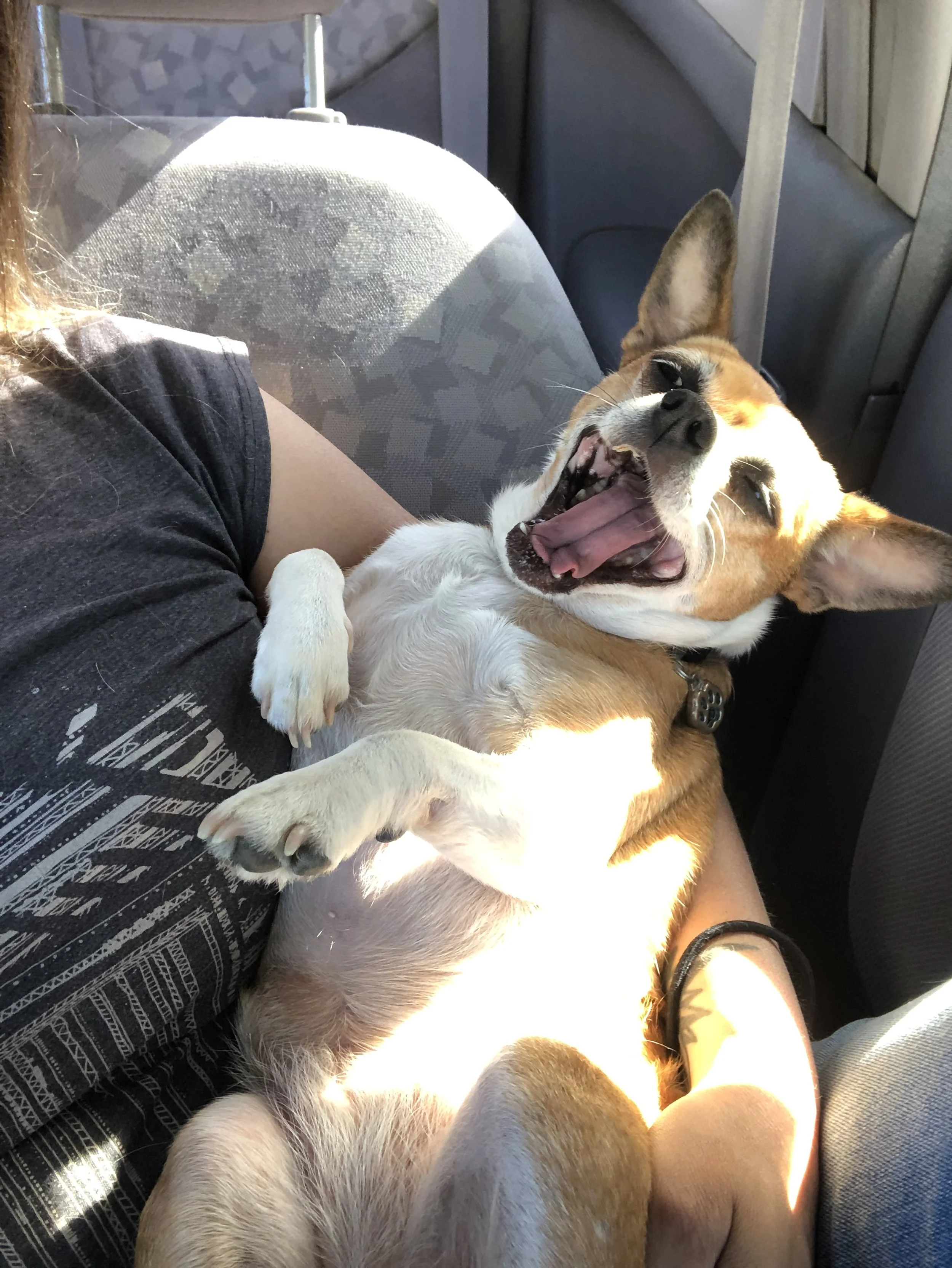 The Benefits of Being Tired