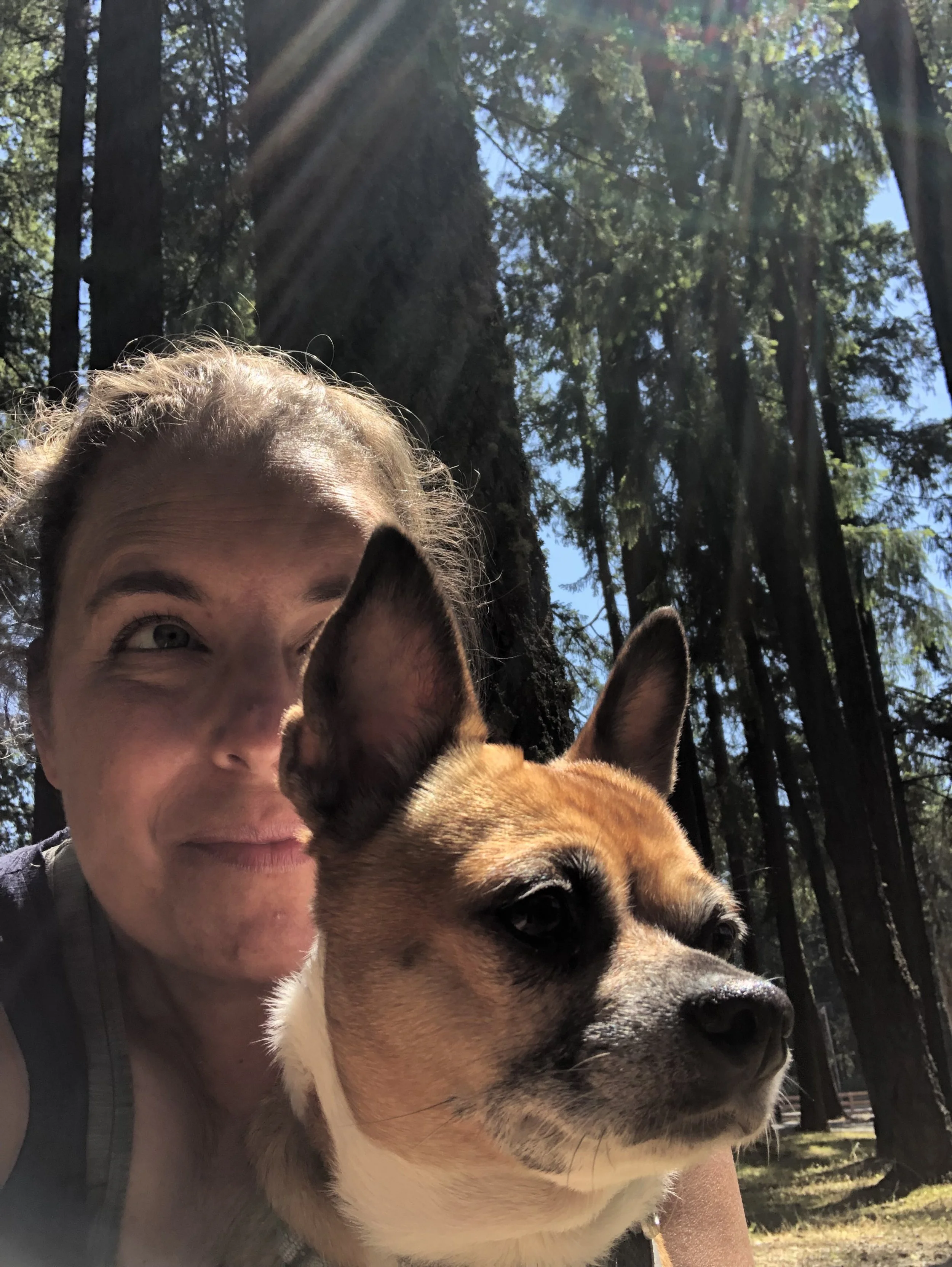 Finding Your Direction