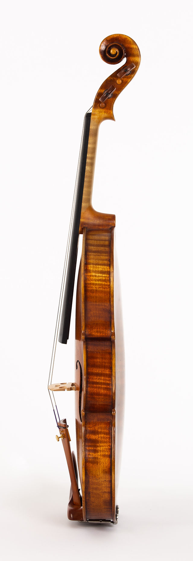 Starkie Strad model violin 2018 side.jpg