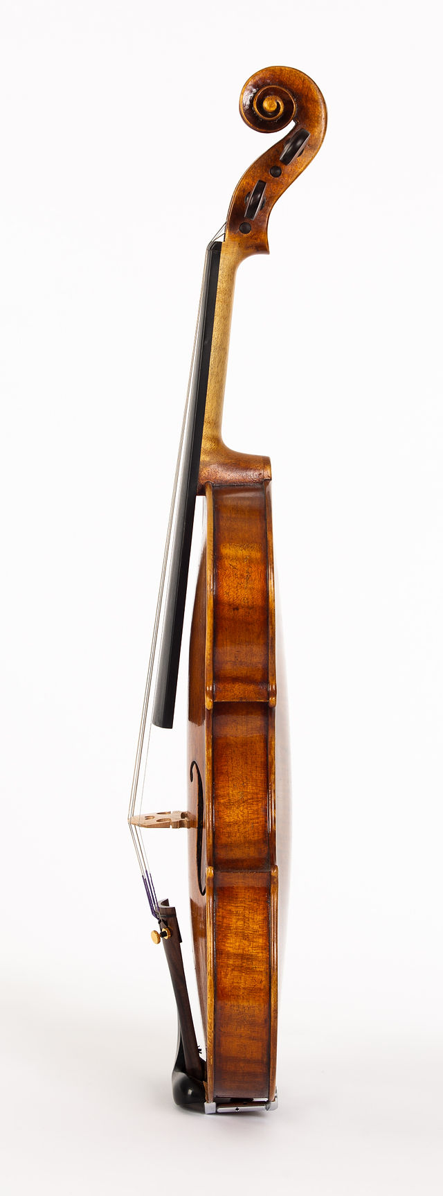 Starkie Guarneri model violin 2016 side.jpg