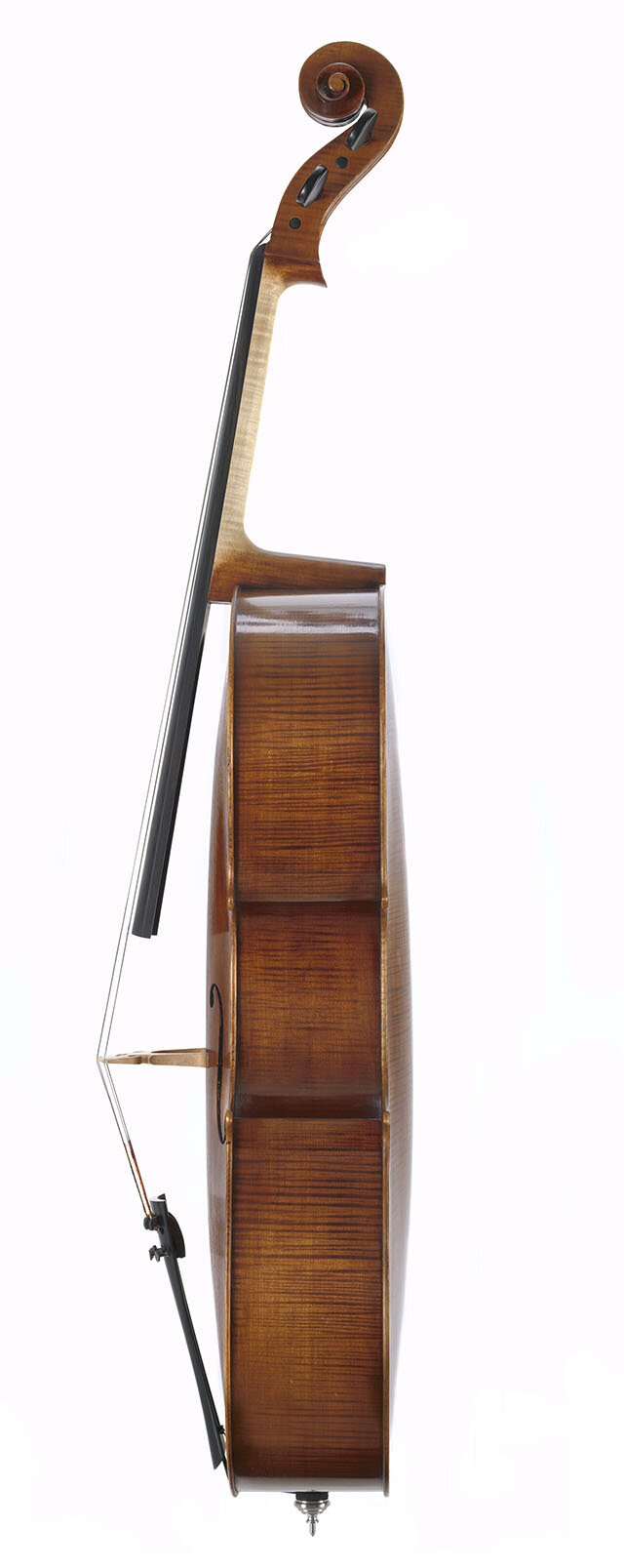 Starkie_Cello_Side_2020.jpg