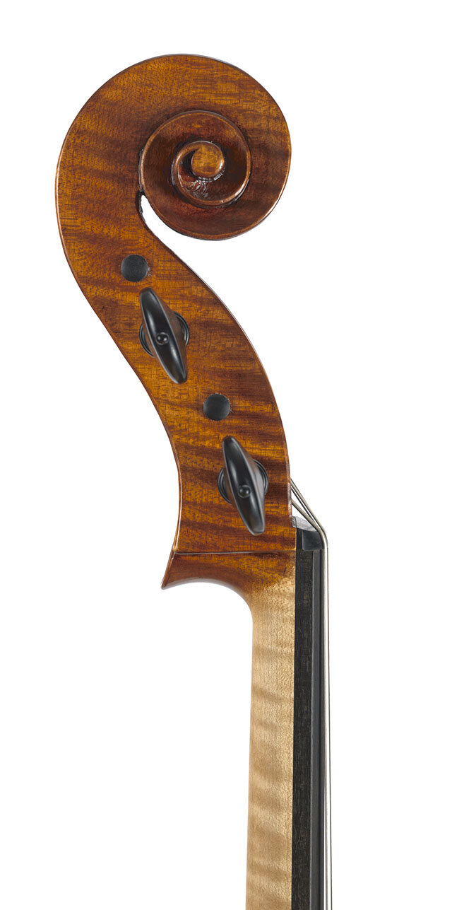 Starkie_Cello_Rogeri_Head_0015.jpg