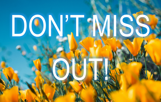 Spring 2019 Activities! 