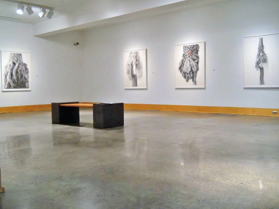 Installation View of "Echo Sounding”; Eleanor D. Wilson Museum; Huguette Despault May