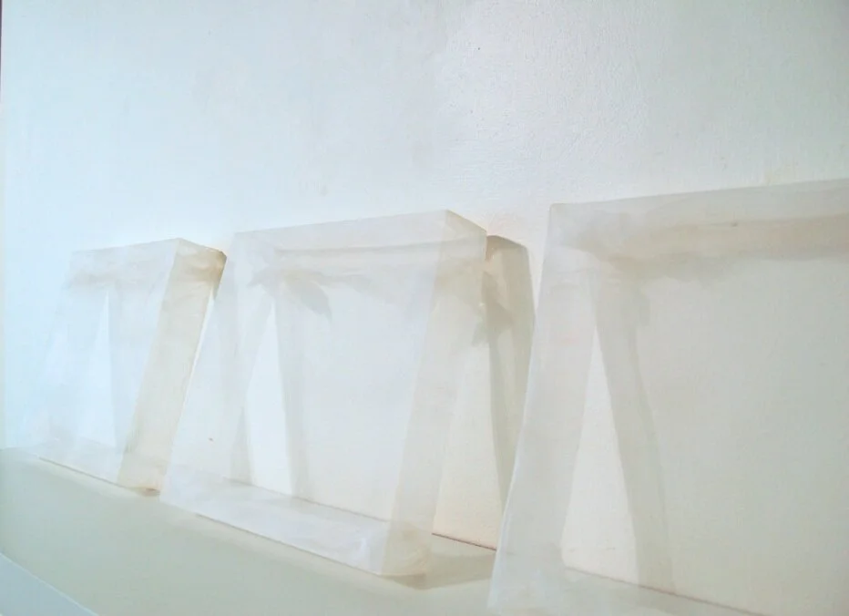 Installation View; Blank Canvas : part of a solo exhibition at Mary Baldwin College , VA.