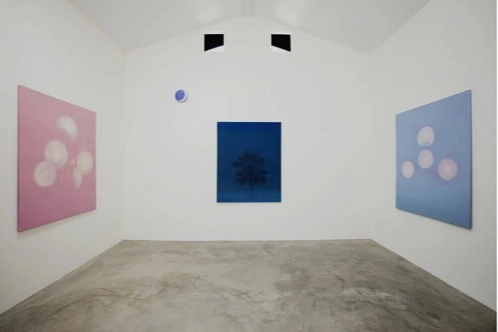 Rosanda_Sorakaite_River_Installation_B.jpg