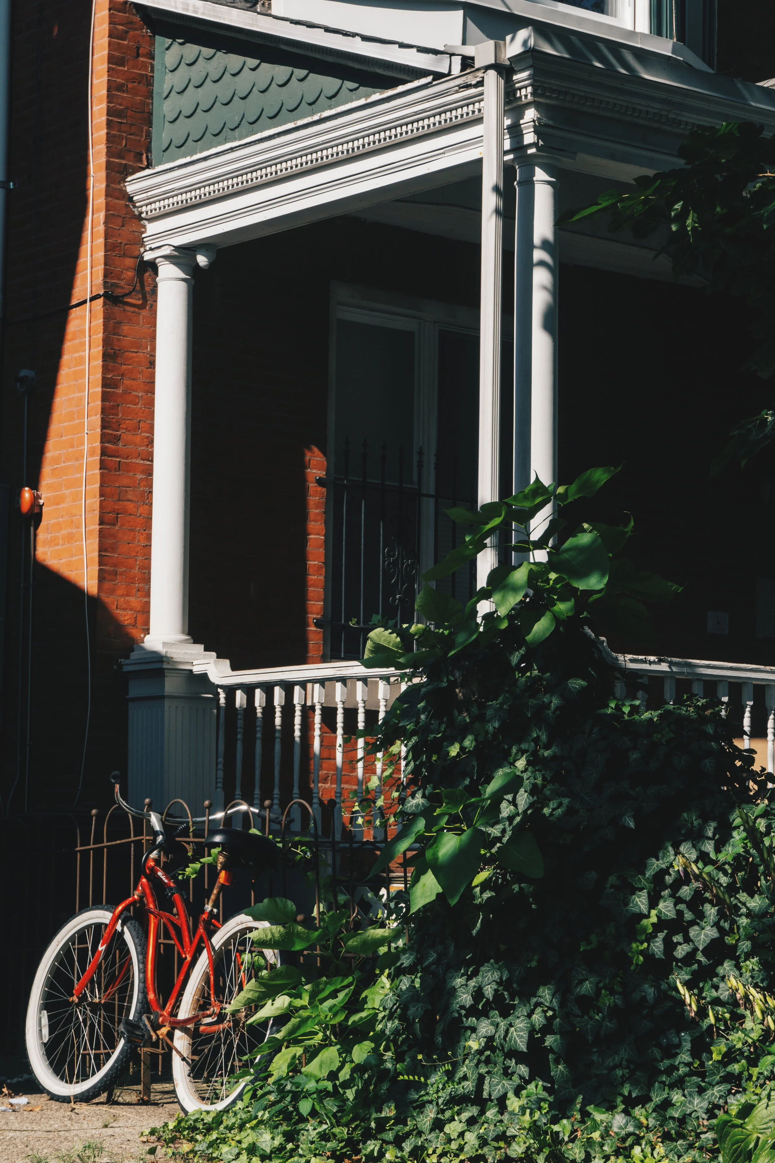 In the Afternoon Shadow